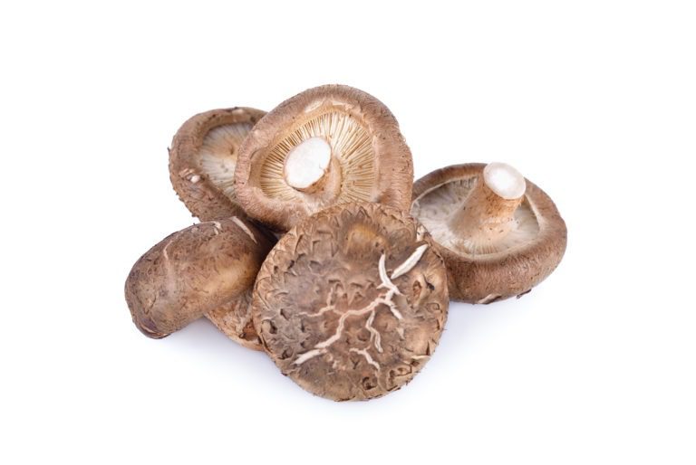 Shiitake mushroom health benefits