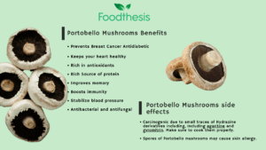 Portobello Mushrooms