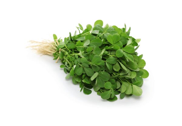 fenugreek leaves benefits