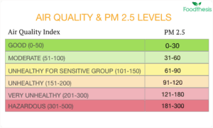 PM 2.5 AIR quality index