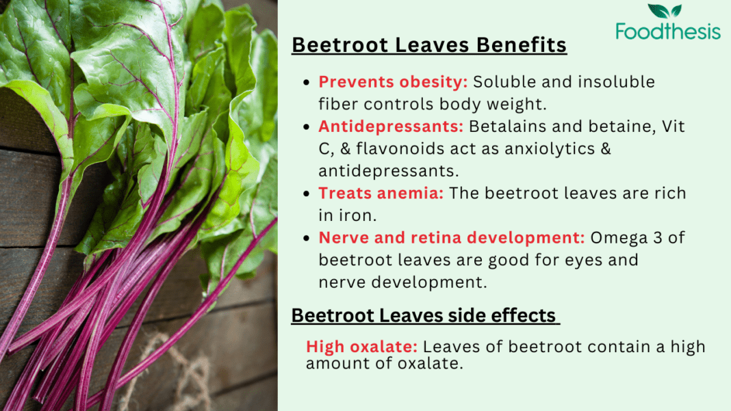 Health benefits of beetroot leaves or beet greens - foodthesis.com