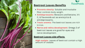 Health benefits 2025 of beet greens