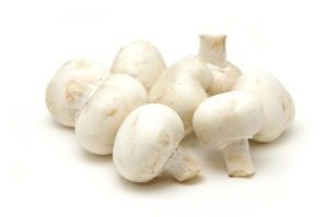 White button mushroom