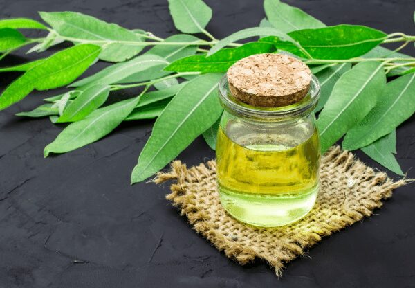 Eucalyptus oil benefits