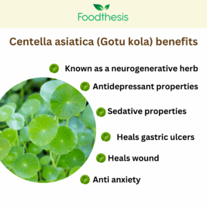Health benefits of Centella asiatica