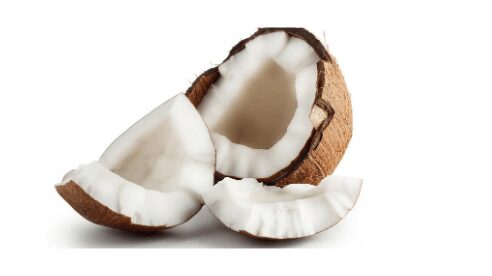 coconut nutrients benefits