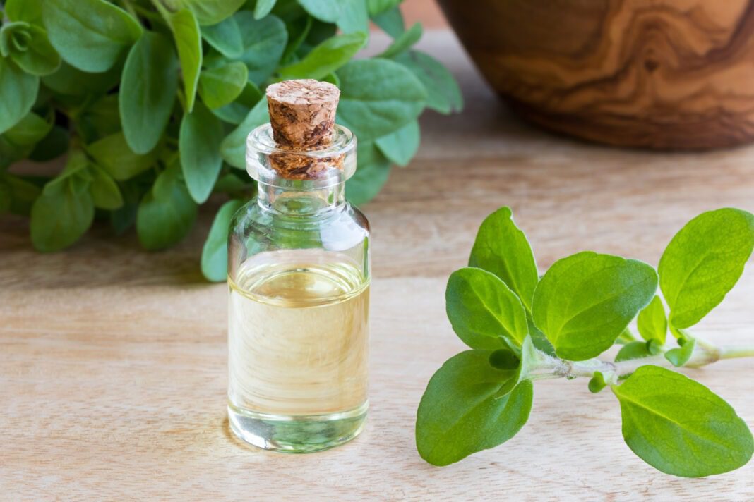 Marjoram oil uses