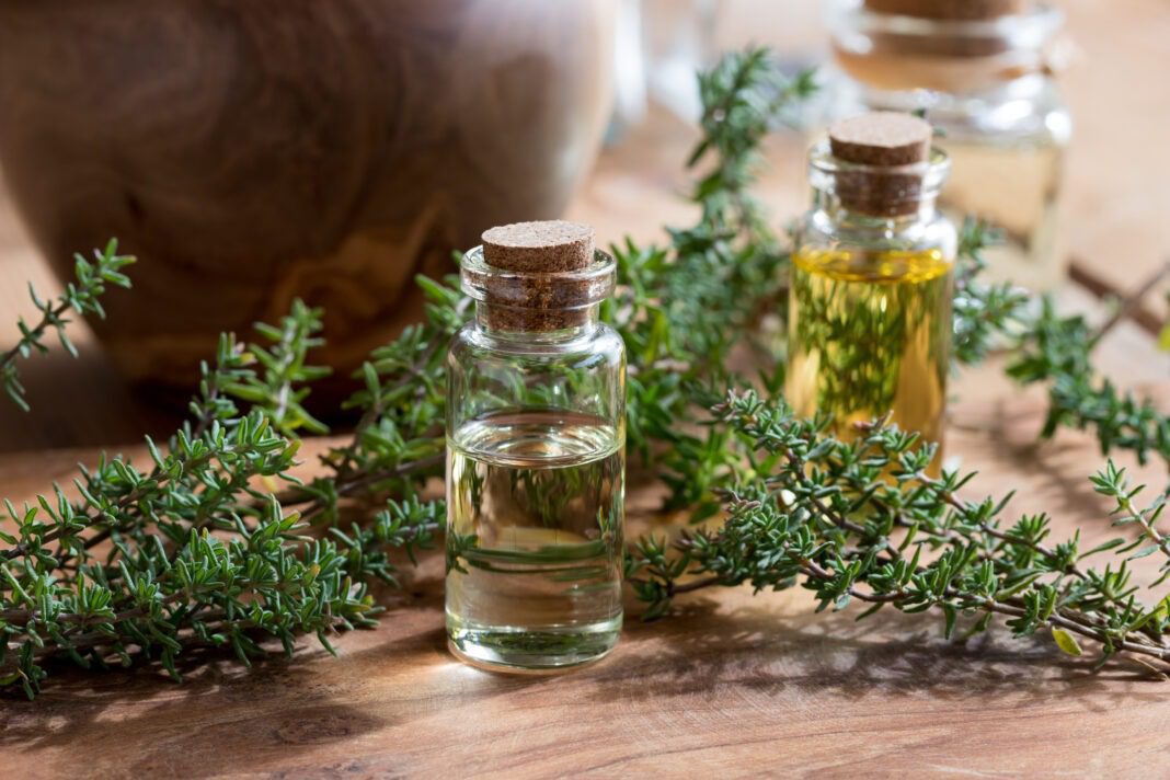 Thyme essential oil benefits