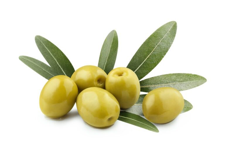 Olive fruit health benefits