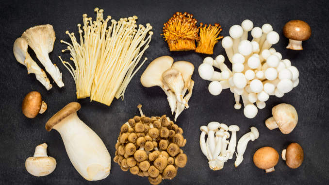 9 amazing mushrooms for weight loss