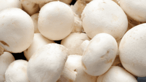 White button mushroom for weight loss