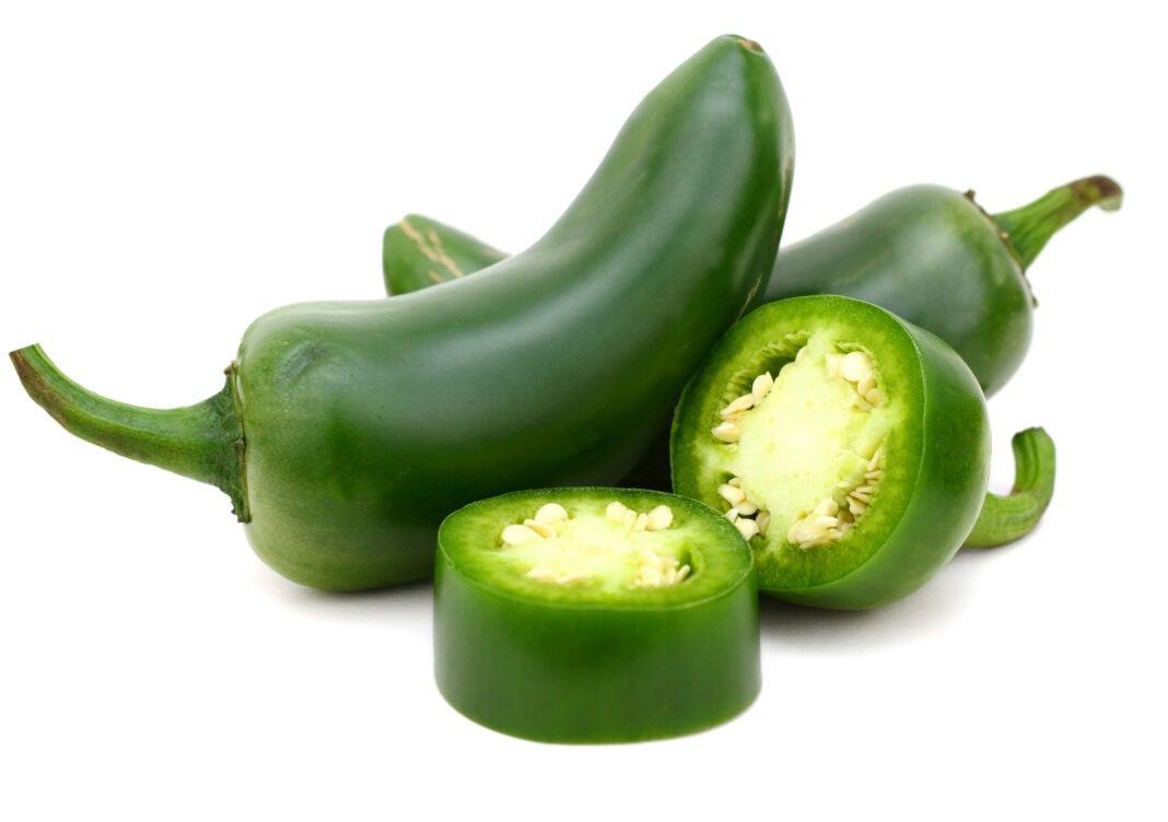 Jalapeno pepper