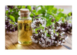 Oregano essential oil