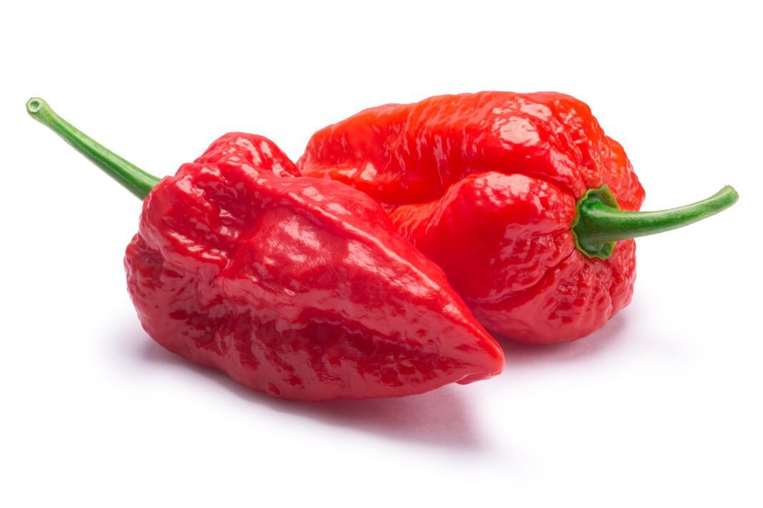 How hot is ghost pepper
