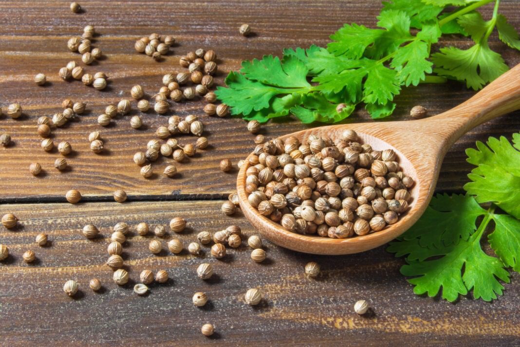 Coriander spice benefits