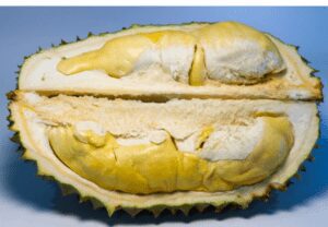 durian vs jackfruit