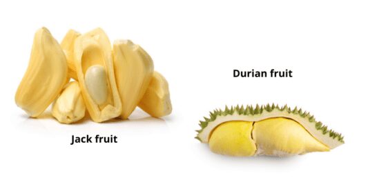 Durian vs. jackfruit