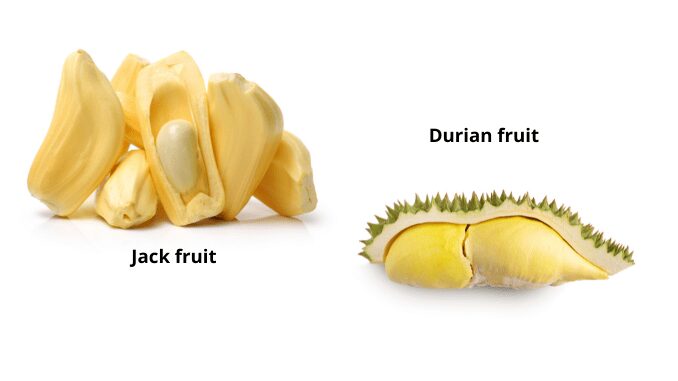 Durian vs. jackfruit
