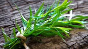 Tarragon health benefits