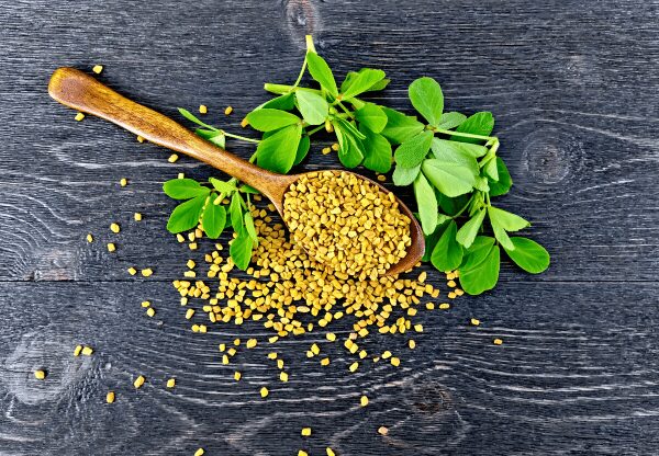 Fenugreek benefits for hair - Research on Plants, Nutrition, Tea &  Superfoods