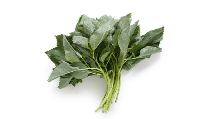 Egyptian spinach 