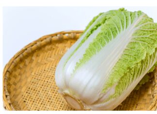 Napa cabbage
