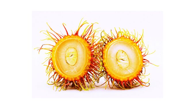 Rambutan seed