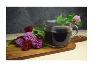 Red clover tea and its benefits 