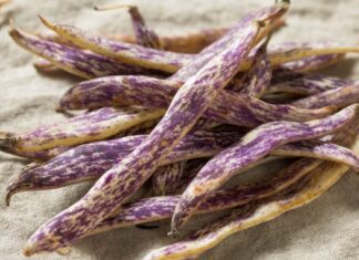 Dragon tongue beans