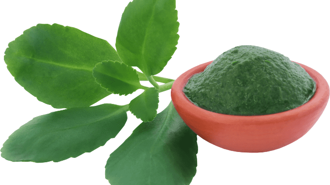 Kalanchoe pinnata health benefits