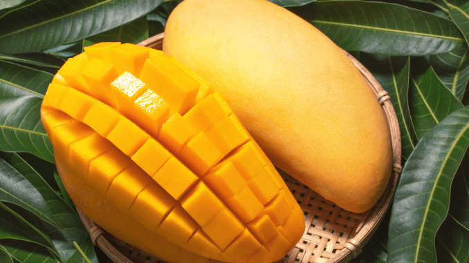 mangoes nutritional values