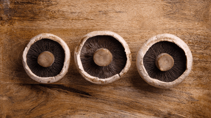 Negative effects of portobello mushroom